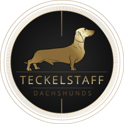 Kennel Teckelstaff